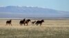 US Interior Department to Give Tribal Nations $120 Million to Fight Climate-Related Threats