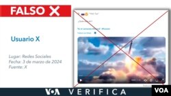 El video se ha difundido en redes sociales desde octubre de 2023, pero reflotó en marzo de 2024. Diseño: Mila Cruz.