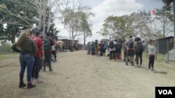 Migrantes en una fila en un punto del Servicio Nacional de Fronteras (SENAFRONT) en Panamá, luego de cruzar con éxito el Darién. [Foto: Federico Buelvas, VOA]