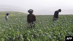 Badaxshon, Afg'oniston, 30-iyun, 2024