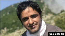ضیا نبوی