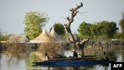 Le Soudan du Sud est le plus jeune état de la planète et l'un des plus vulnérables au changement climatique.