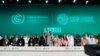  COP28 Deal a ‘Disappointing’ Win, Experts and Activists Say 