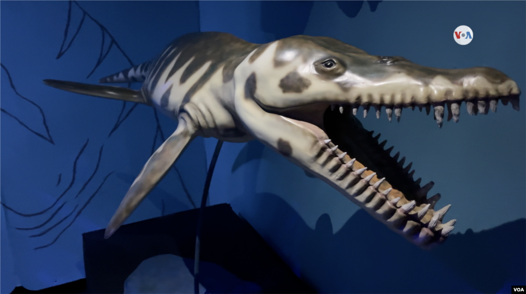 En la imagen un Kronosaurus que vivió en el Cretácico inferior en Australia y Colombia. 