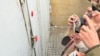 “Toplum TV işi” üzrə həbs edilənlərin apellyasiya şikayəti təmin edilməyib