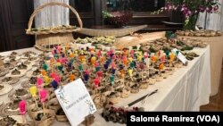 La gastronomía amazónica llegó hasta la mesa de la residencia del embajador de Colombia en Washington, donde los asistentes pudieron degustar platos como el curadito de piracucú, originario de la cultura indígena colombiana.