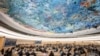 美国大使：美国应该积极参与联合国人权活动，对抗中国的影响力