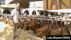 Karim Daoud is moving away from raising milk cows to goats and sheep, which consume less water on his family's farm on the outskirts of Tunis, Tunisia.