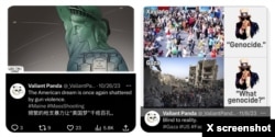 Valiant Panda的漫画嘲笑美国的国内问题和外交政策。