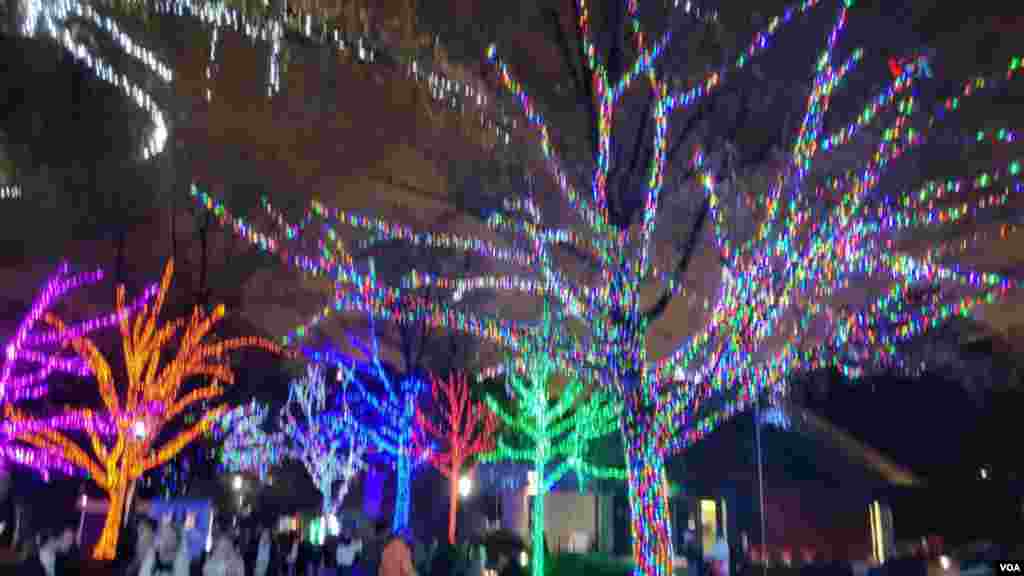 'Zoolights 2023' celebra su décimo quinto año como parte de la tradición decembrina en Washington.