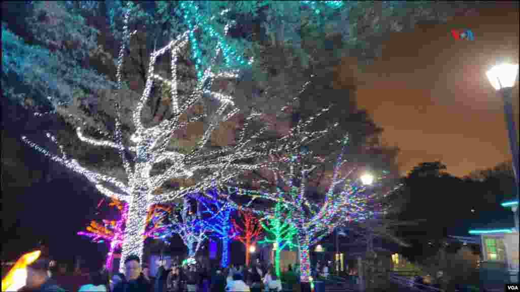 El Zoolights, como todos los años, atrae estos días a miles de visitantes que quedan cautivados por este "paraíso invernal" como lo denomina el Zoológico Nacional del Smithsonian.