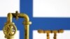 Baltic Sea Gas Pipeline Shut Down Over Suspected Leak 