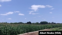 Matebeleland South Irrigation