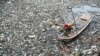 Perjanjian Plastik Sedunia Temui Jalan Buntu Jelang KTT Iklim PBB