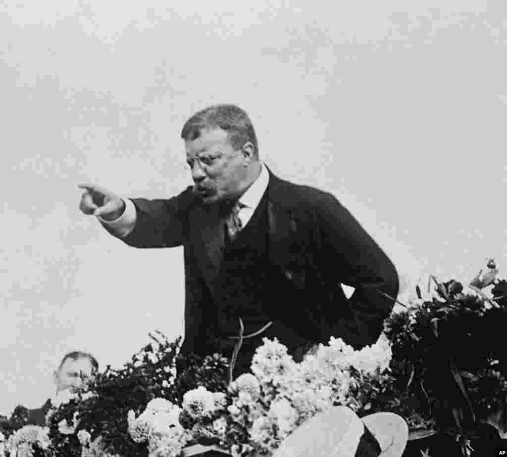 En 1912, el expresidente Theodore Roosevelt se lanzó nuevamente a la presidencia bajo un partido alternativo contra el entonces presidente William Taft y el demócrata Woodrow Wilson. Roosevelt alcanzó 28 % de los votos.
