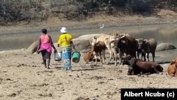 Omama bemaphandleni eMatabeleland South bakhala ngenhlupho ezinengi ababhekane lazo ezigoqela ukusilela kwamanzi lokuswela imali yokunakekela izimuli zabo.
