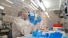 OMS pide más estudios de secuenciación genómica por variantes de coronavirus