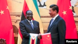 Zimbabwe's President Robert Mugabe (L) and his Chinese counterpart Xi Jinping shake hands during a signing ceremony at the Great Hall of the People in Beijing, Aug. 25, 2014.