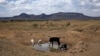 Serious El Niño Impact Predicted for East and Southern Africa