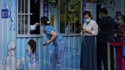中國智庫：重振經濟必須改變新冠防控措施