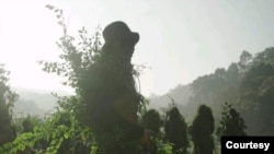 ကန်ပက်လက် CDF တပ်ဖွဲ့ဝင်များ ( Photo Credit: Kanpetlet CDF )
