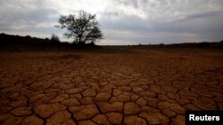 FILE - Cracked earth marks a dried-up watering hole on a farm near Aberdeen in the Karoo in South Africa.