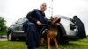 When Marijuana Becomes Legal, Drug-Sniffing K-9s Are Out of a Job