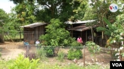 Una familia de campesinos colombianos en el departamento de Putumayo, en el sur del país, una de las zonas con el mayor número de homicidios presentados contra líderes sociales. Foto: Camilo Álvarez, VOA.