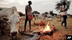 Fulani makiyaya