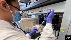 Emily Lu, estudiante de ciencia medioambiental en Ohio State, trata de extraer ácido ribonucleico (ARN) de una muestra de aguas residuales para buscar restos de coronavirus, el 23 de marzo de 2022, en un laboratorio del centro en Columbus, Ohio.
