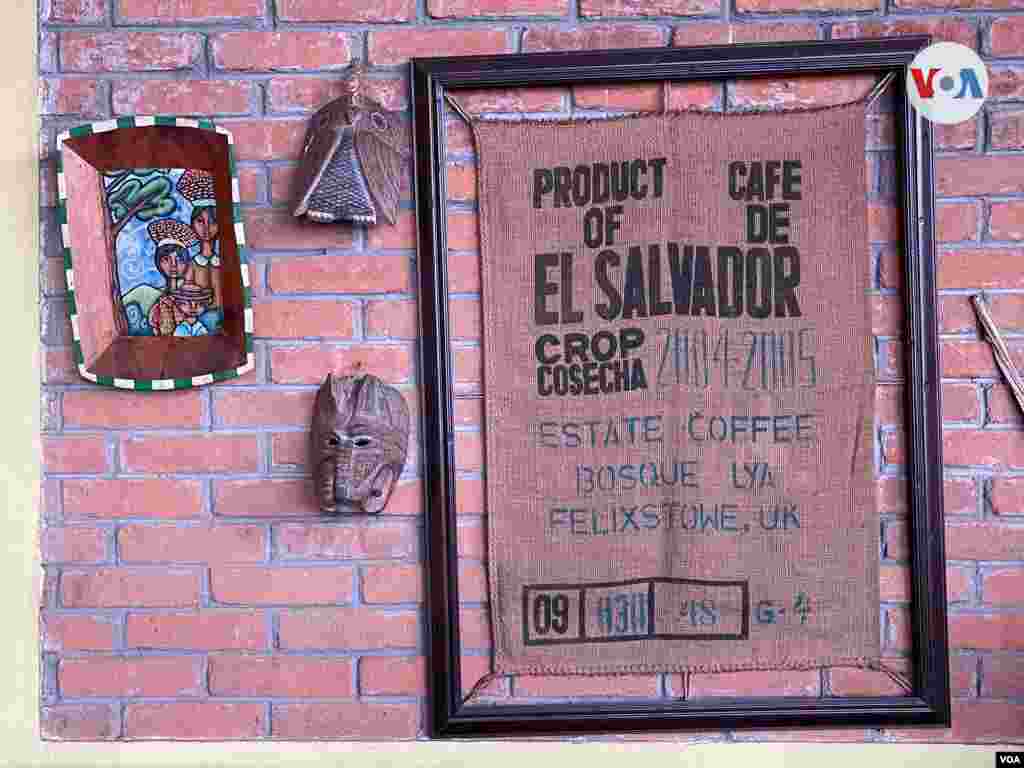 Bosque Lya ganó la taza de excelencia en 2004, con una variedad de Café Bourbon