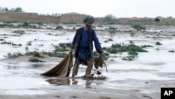 در یک ماه گذشته، بیشترین تلفات ناشی از حوادث طبیعی، در ولایات کندهار و هرات بوده است. 