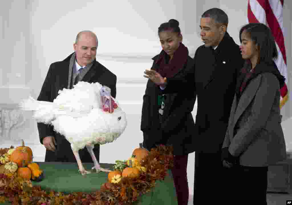 Le président Barack Obama, avec filles Sasha, deuxième à gauche, et Malia, à droite, perpétue la tradition d'une "grâce présidentielle accordée à une dinde à l'occasion de la Thanksgiving. Photo prise à la Maison Blanche à Washington, mercredi 27 novembre ,2013,