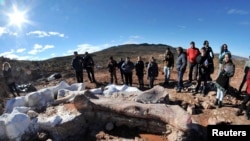 Un site fouillé par des paléontologues en Patagonie (Reuters)