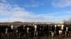 สารคดีพิเศษ OFF THE HIGHWAY: American Farmers โฉมหน้าที่เปลี่ยนไปของเกษตรกรอเมริกัน?