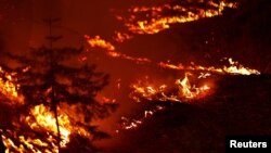 Požar Kaldor pustoši Nacionalni park Eldorado, u blizini Kjuburza, Kalifornija, 21. avgusta 2021.