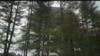 16x9 Image