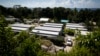 MSF Urges Australia to Evacuate Refugees from Offshore Detention Centers