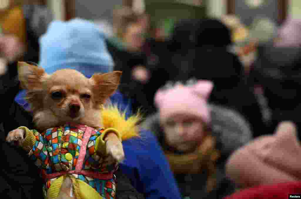 Una mujer que huye de la invasión rusa de Ucrania sostiene a su perro mascota mientras espera fuera de la estación de tren en Lviv, Ucrania, el 4 de marzo de 2022. 