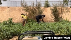 Alice Ouédraogo et Madeleine Delma sont à la tâche, Ouagadougou, le 9 mars 2022. (VOA/Lamine Traoré)
