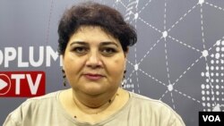 Jurnalist Xədicə İsmayıl