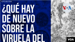 ¿Qué hay de nuevo sobre la viruela del mono?