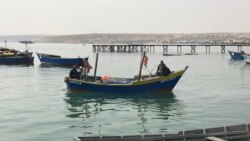 Violações no setor da pesca angolana agrava crise económica