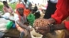 Zimbabwe Hunger Crisis