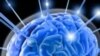 Decoding Brainwaves Allows Scientists to Pry into Thoughts