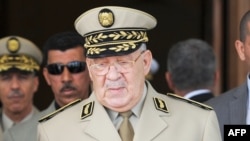 Le chef d'état-major algérien Ahmed Gaid Salah à son arrivée à l'aéroport international Houari-Boumediene d'Alger, le 20 mai 2014.
