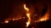 Brazil's Bolsonaro Causes Global Outrage Over Amazon Fires