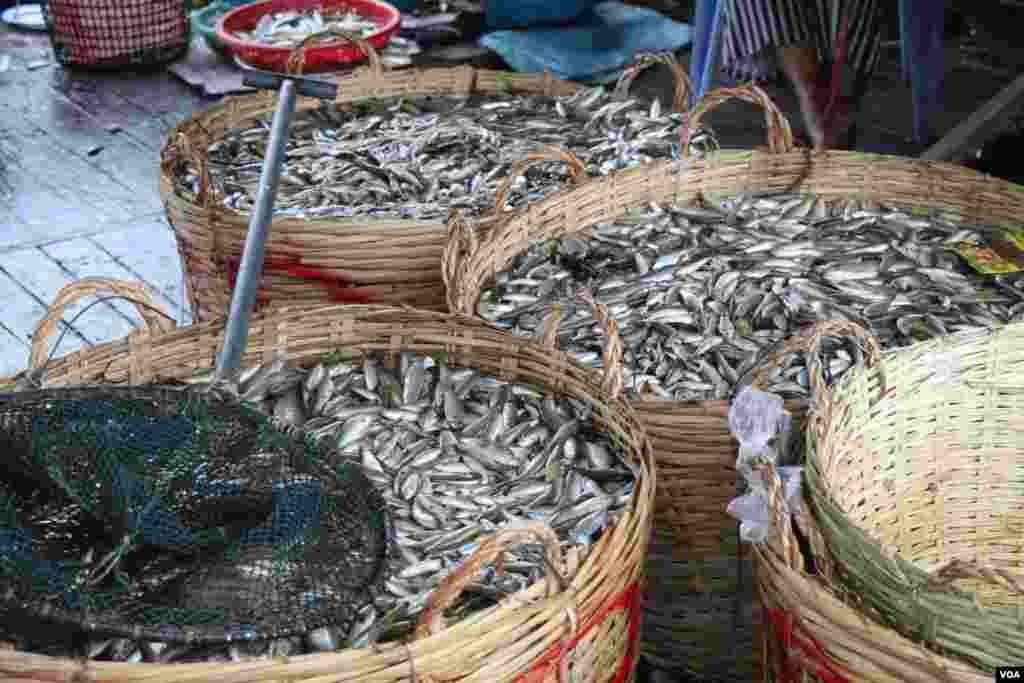 ទិដ្ឋភាពទូទៅនៃការរកត្រីប្រហុកនៅក្នុងតំបន់ផែនេសាទគីឡូម៉ែត្រលេខ៩ ក្នុងខណ្ឌឬស្សីកែវ រាជធានីភ្នំពេញ នៅថ្ងៃទី២៧ ខែធ្នូ ឆ្នាំ២០១៧ (ស៊ុន ណារិន/VOA)