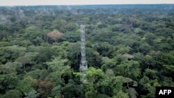 "Pour nous, le pétrole n'a pas d'avenir", soutient Patient Muamba, chargé de campagne "forêt" pour Greenpeace Afrique.