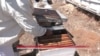 Le miel tunisien en péril : le changement climatique met à mal les abeilles